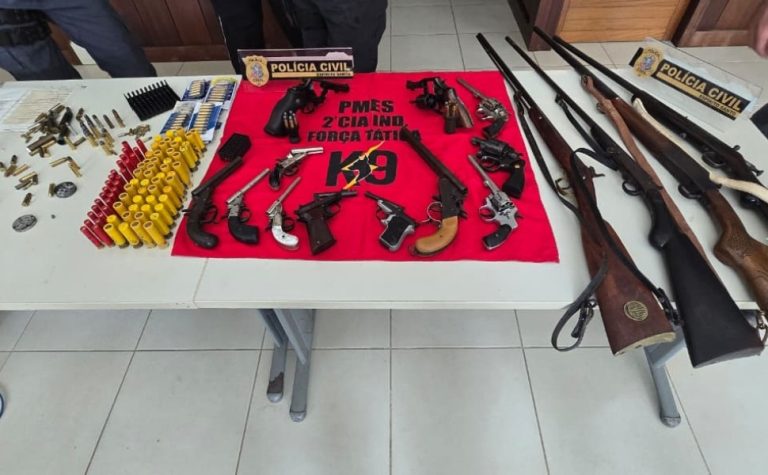 Operação Desarme apreende 16 armas e prende dois suspeitos em Afonso Cláudio