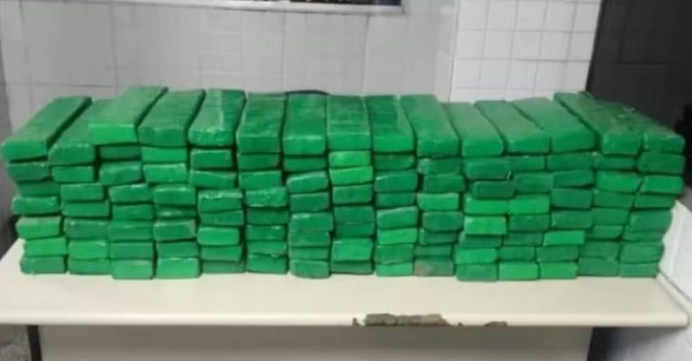 Polícia encontra quase 100 kg de maconha em antiga rinha de galos em Surubim