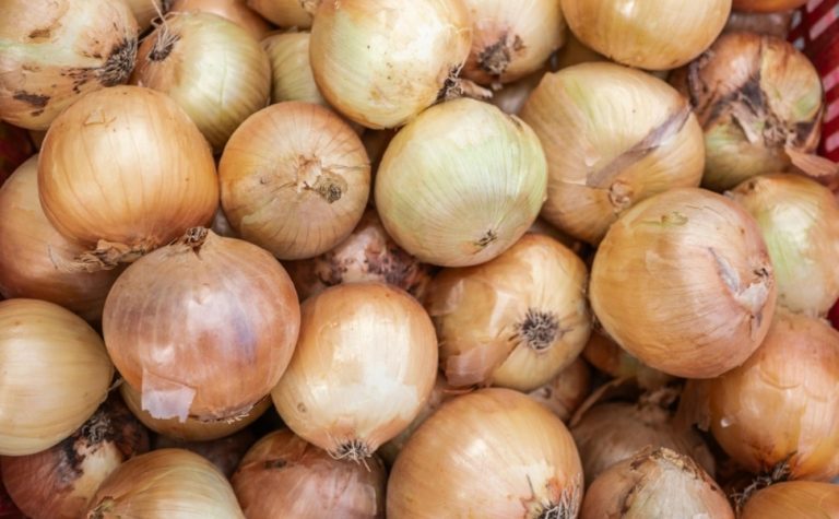 Preço da cebola varia quase 180% em supermercados de Vitória