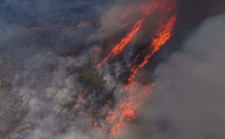 VÍDEO | Incêndio atinge área rural em Pancas após proprietário queimar lixo