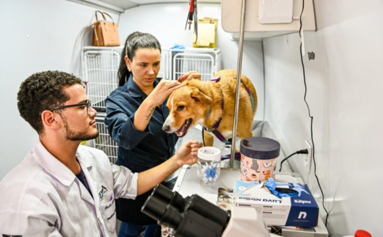 Vitória abre seleção para engenheiros e médico veterinário; veja detalhes