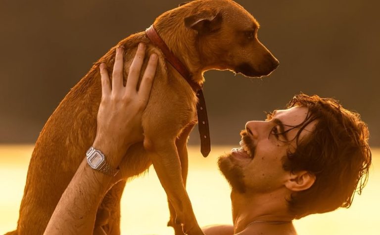 ‘Caramelo’: Netflix lança campanha de adoção inspirada no filme