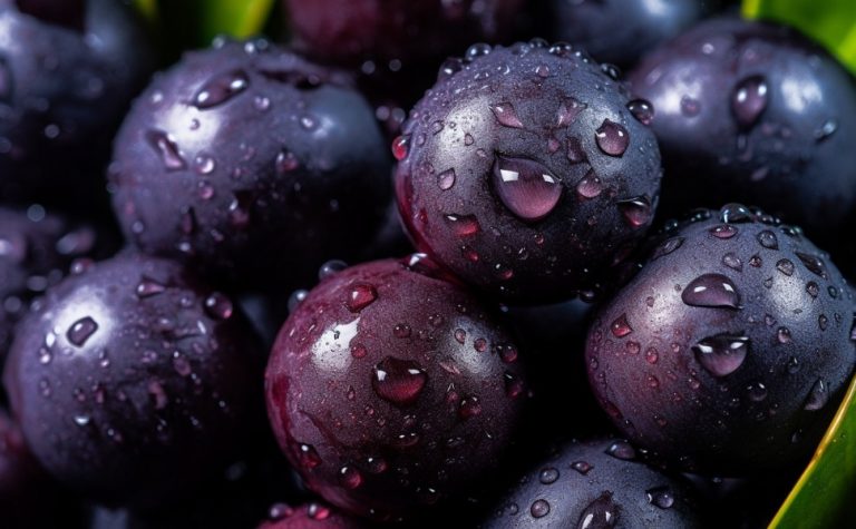 Conheça 15 ingredientes essenciais da cozinha paraense