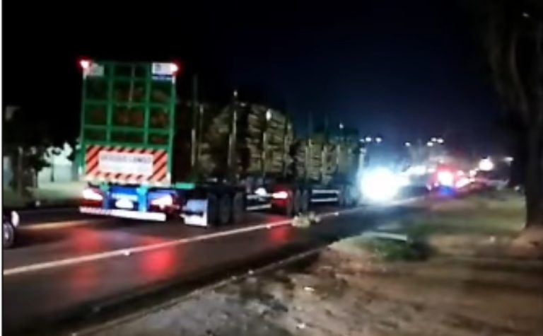 Dois homens morrem após motocicleta colidir com caminhão na BR-101 em Aracruz
