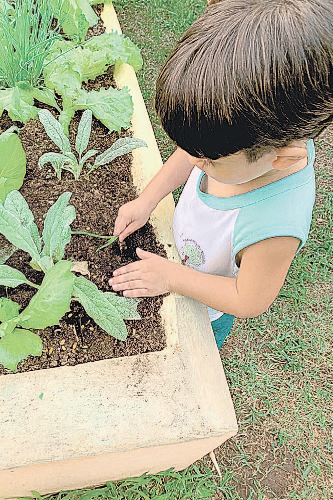 Ensino lúdico e valores para toda a vida