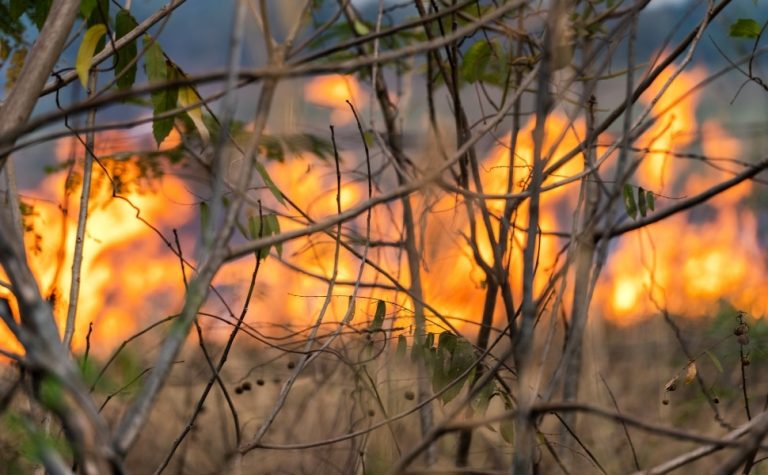 Fogo consome área de proteção ambiental em Tiradentes (MG) pelo terceiro dia