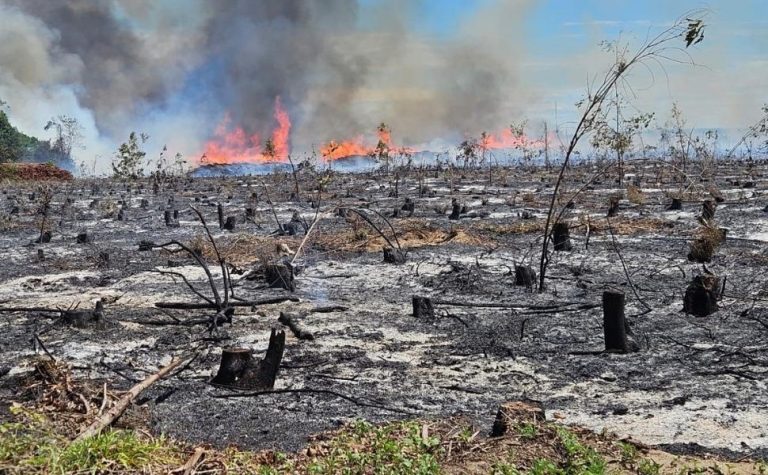 Preso suspeito de incendiar florestas e causar prejuízo de R$ 40 milhões no ES