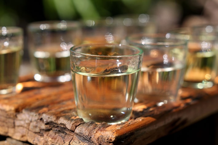 Metanol em bebidas: quais são os Estados com suspeita de intoxicação