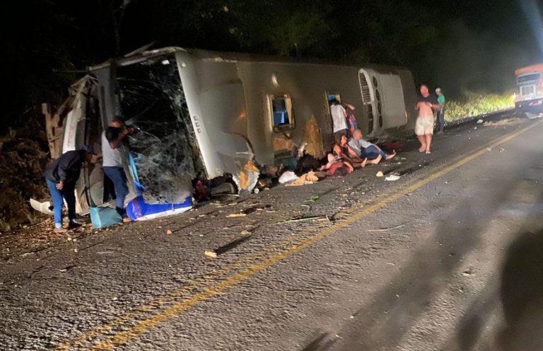 Ônibus tomba na BR-423, no Agreste, e deixa pelo menos sete mortos