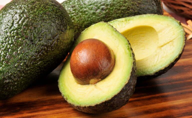 Produção de abacate cresce e fortalece a fruticultura capixaba