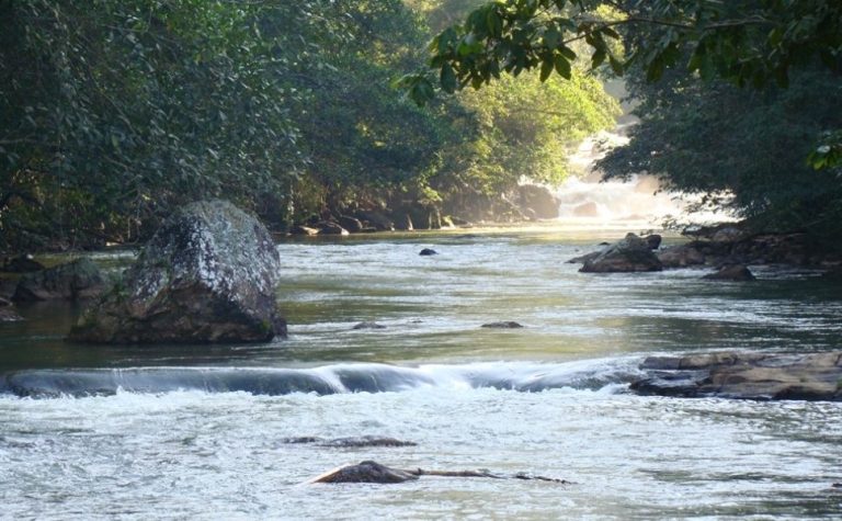 Recuperação de nascentes ajuda na proteção da bacia do Rio Santa Maria da Vitória