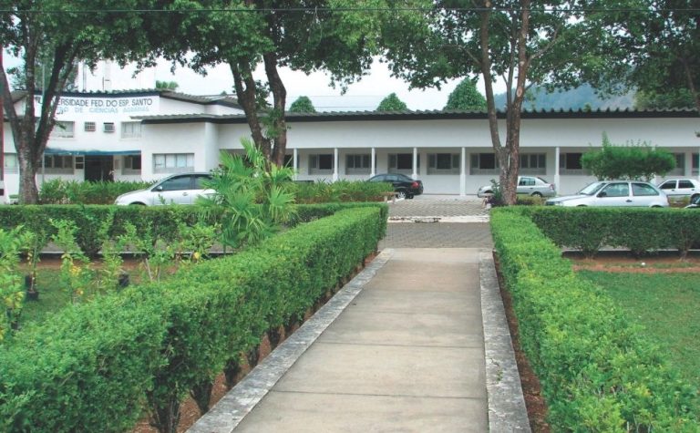Sinal verde para curso de Medicina da Ufes em Alegre