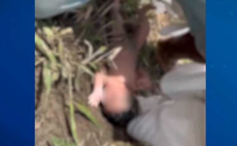 Bebê recém nascido é encontrado em área de pasto no Norte do ES
