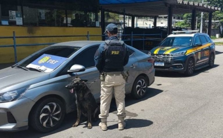 Carga de haxixe é encontrada por cão farejador escondida em banco de carro em Viana