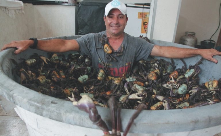 Comerciante capixaba faz “mergulho” em piscina de caranguejos