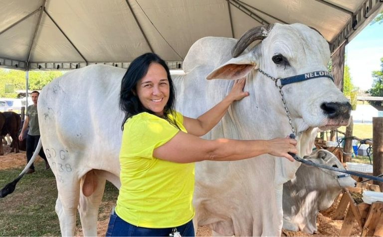 Criado em pastos do ES, gado “zero dentes” faz sucesso no exterior