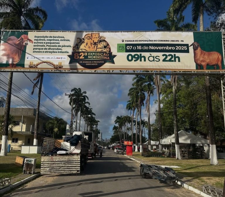 Exposição Nordestina de Animais abre as portas no Recife
