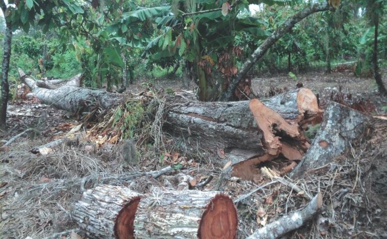 O que muda com o novo licenciamento ambiental