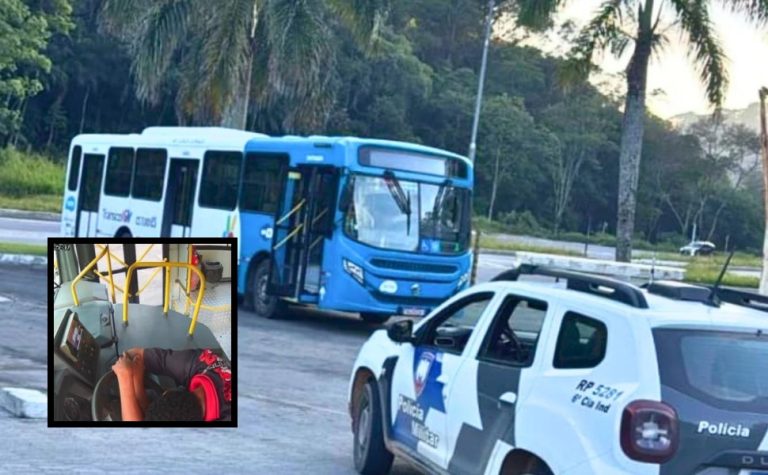 Ônibus do Transcol é furtado na Serra e encontrado em Marechal Floriano