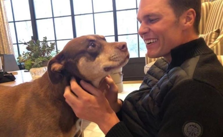 Tom Brady revela que clonou cachorra adotada com Gisele Bündchen
