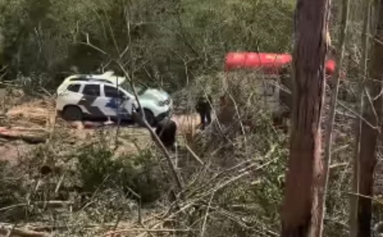 Adolescente morre após ser atingido por árvore de eucalipto no Sul do ES
