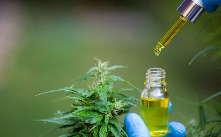 Anvisa avalia Cannabis medicinal dermatológica e importação da planta