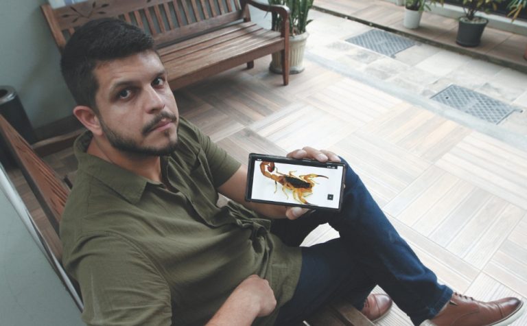 ES registra mais de 5 mil acidentes com escorpiões