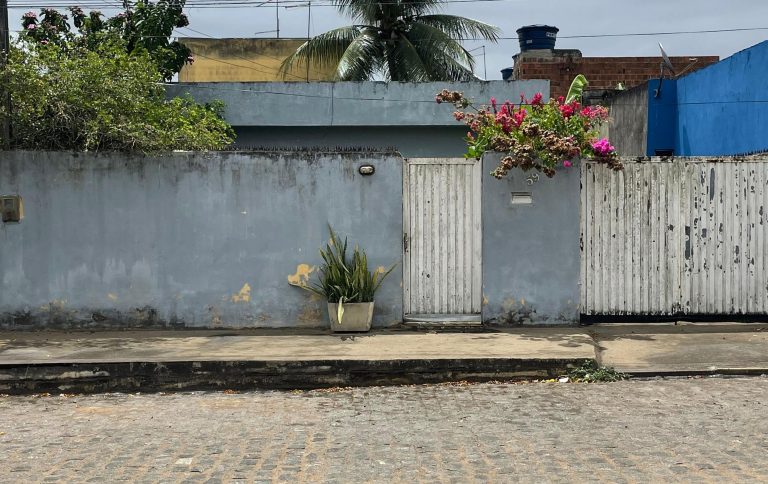 Idosa é esfaqueada durante assalto em Carpina; jovem de 18 anos é preso