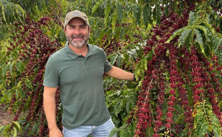 Irrigação para cafeeiro ter vigor após colheita