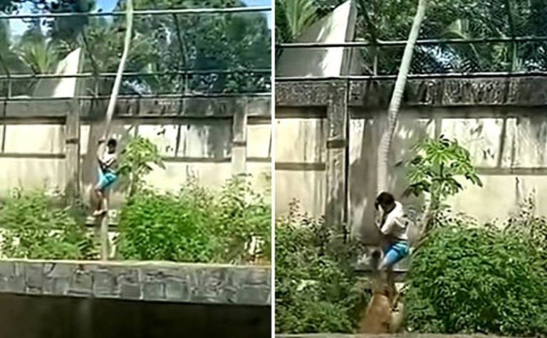 Jovem morto em zoo tinha transtornos mentais e queria cuidar de leões na África