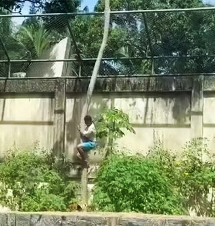 Jovem morto por leoa em zoológico pediu felicidade que nunca teve em carta de Natal