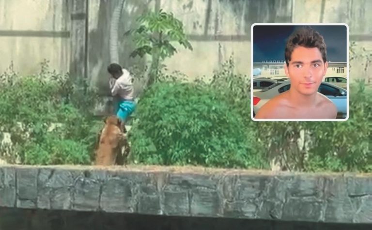 Morte em zoológico: jovem sonhava em domar leões na África