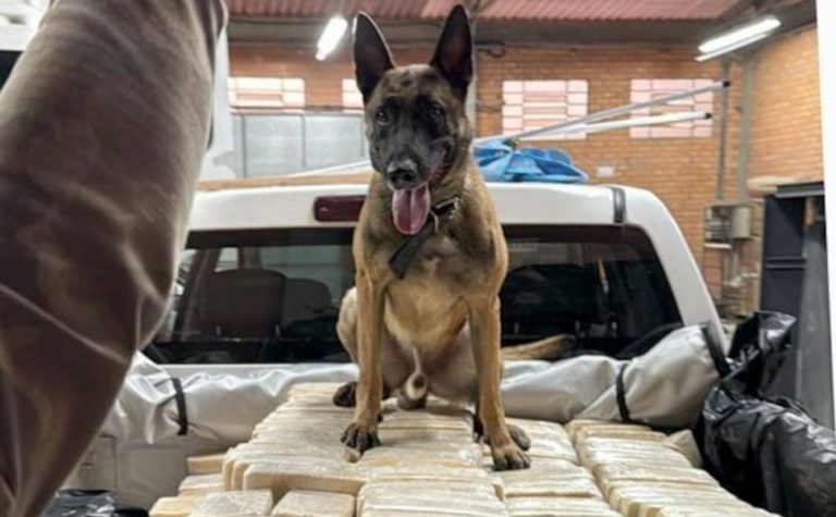 Polícia Federal encontra bunker com 613 kg de cocaína em empresa de fachada em SC