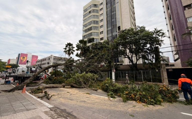 Tempestade derruba árvore e deixa moradores sem energia elétrica na Praia da Costa