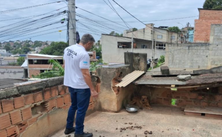 Tutora é presa após cão ser resgatado em situação de maus-tratos em Viana