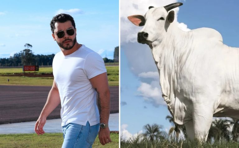 Vaca brasileira comprada por Murilo Huff se torna a mais cara do mundo
