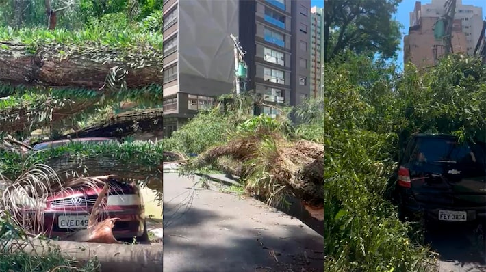 Vendaval em SP: Procon orienta clientes da Enel a documentarem prejuízos por falta de luz