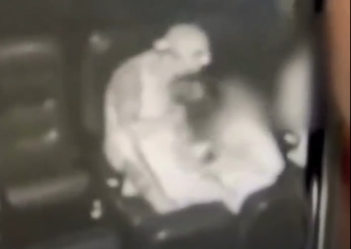 Vídeo: jovem grávida é agredida pelo companheiro durante sessão de cinema em MG