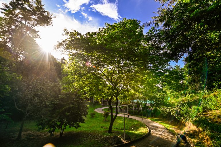 Vitória mais verde e com meio ambiente preservado