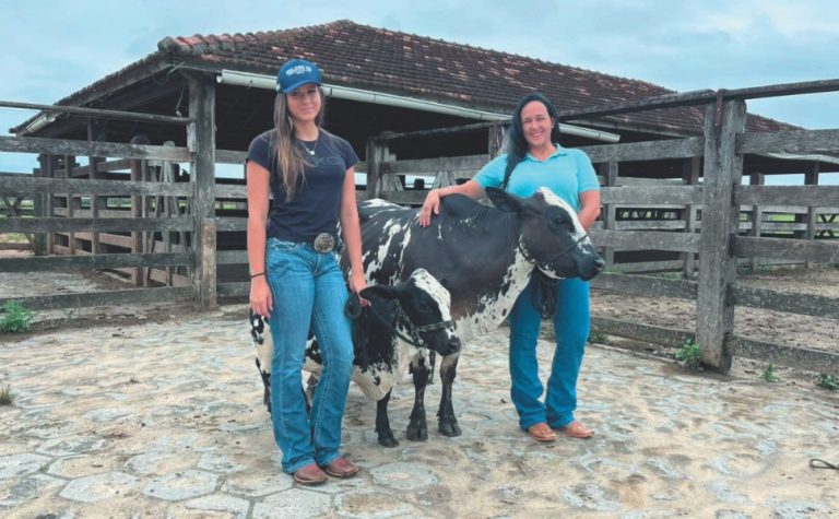 14 mil sítios e fazendas do ES são comandados por mulheres