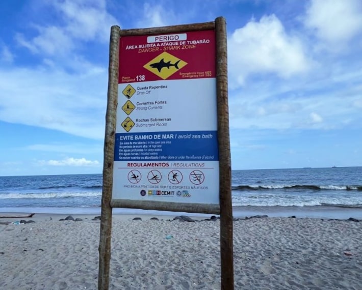 Adolescente de 13 anos morre após ser mordido por tubarão em praia de Pernambuco