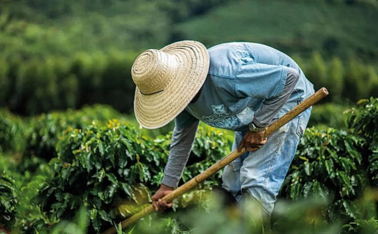Agro impulsiona recordes do mercado de trabalho no país