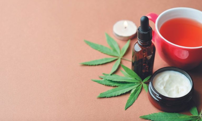 Anvisa apresenta proposta para regulamentar produção de cannabis medicinal
