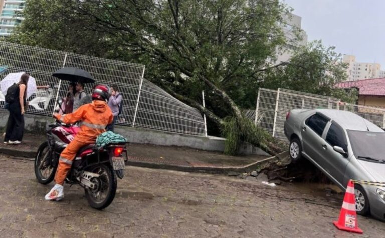 Árvore cai e levanta carro após fortes chuvas em Vitória; veja vídeo