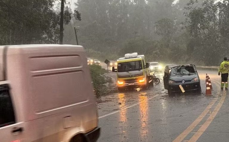 Árvore cai sobre carro e mata mulher de 35 anos em SP