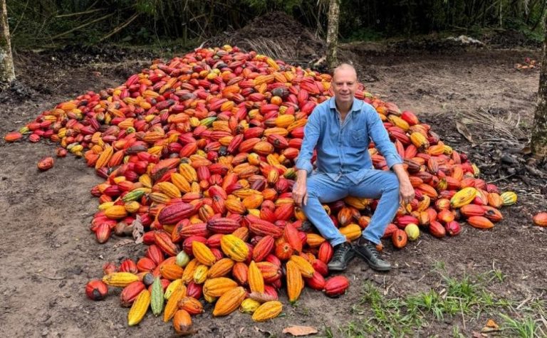 Com mercado em alta, preço do cacau anima os produtores do ES