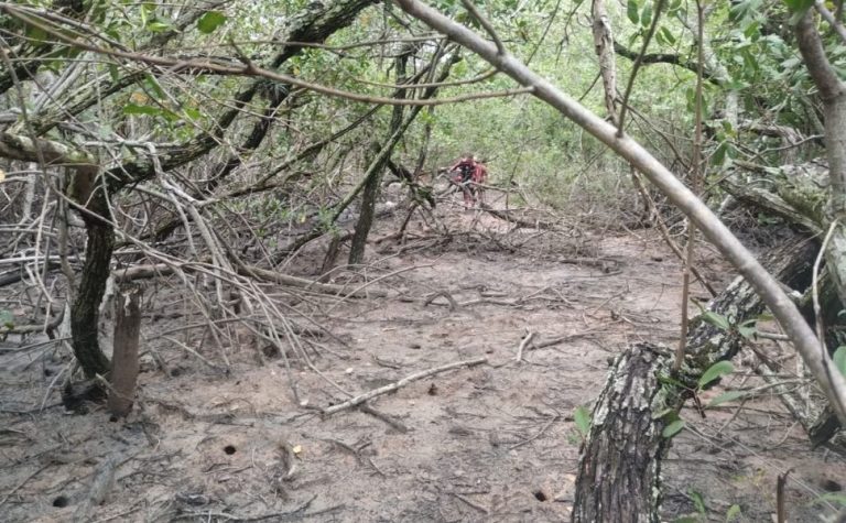 Corpo é encontrado em região de mangue de Vitória