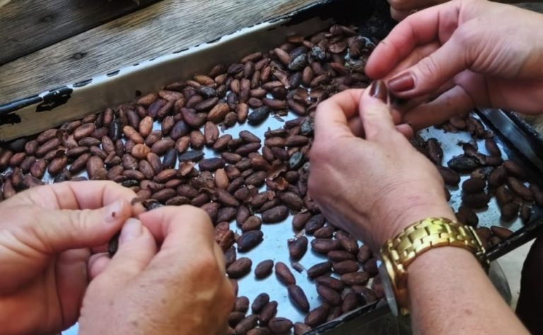 Curso ensina produtores de Iconha a gerar renda com derivados do cacau