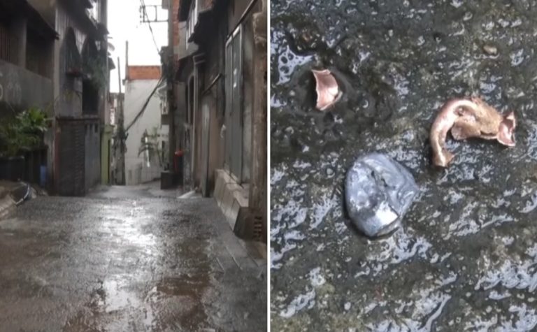 Dois suspeitos são presos por ataque que deixou quatro feridos no Morro do Quadro