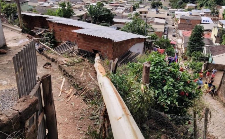 Eucalipto de 40 metros cai e atinge casas no ES